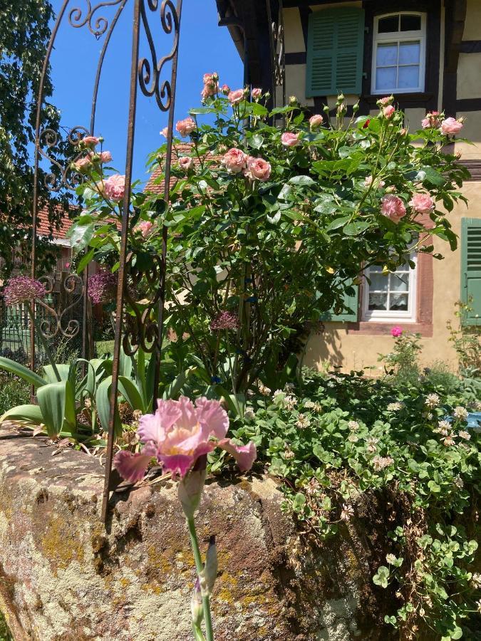 Imbsheim Au Fil Du Temps B&B 외부 사진