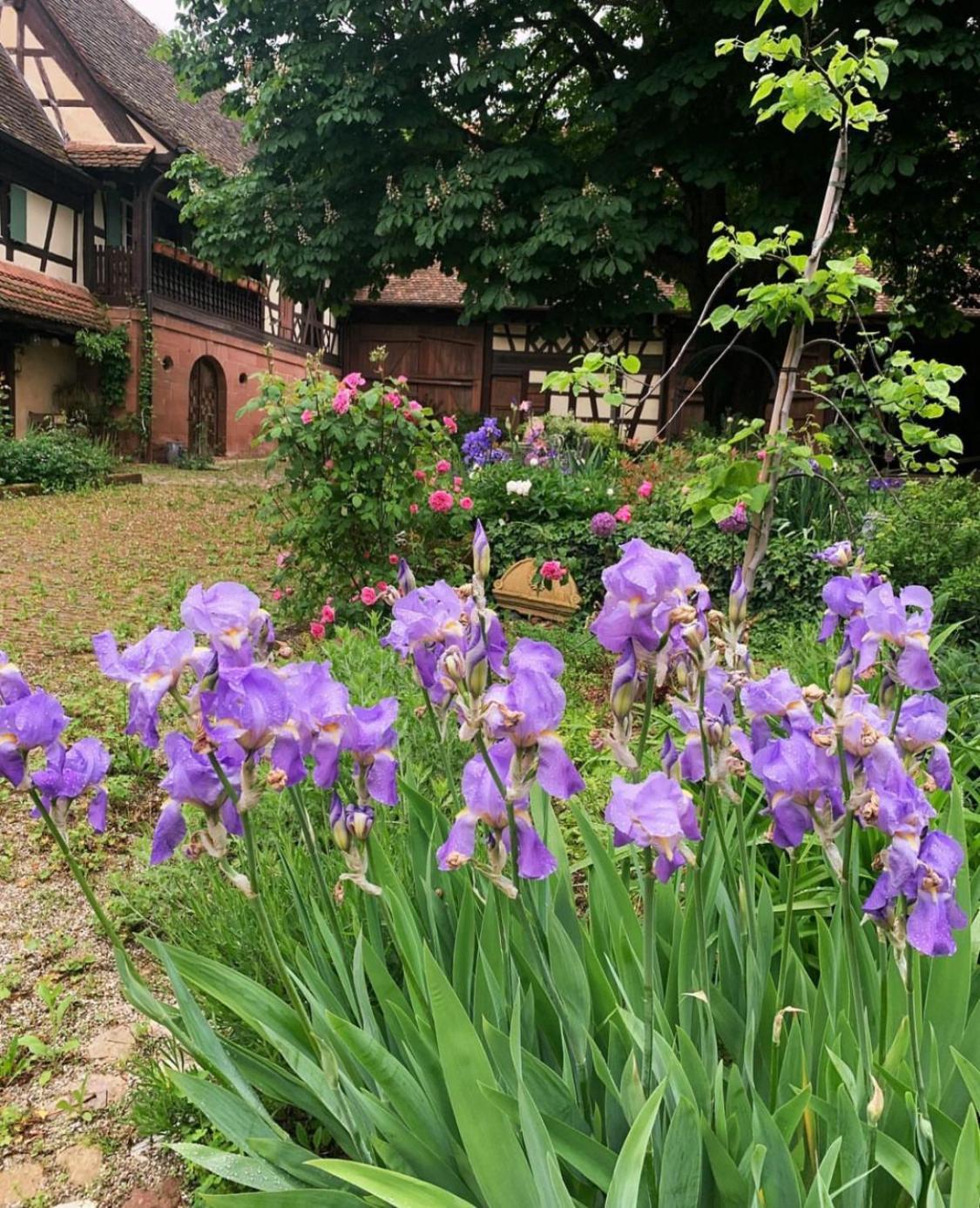 Imbsheim Au Fil Du Temps B&B 외부 사진